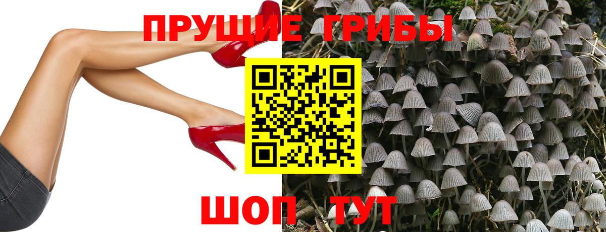 Галлюциногенные грибы Psilocybe Клин