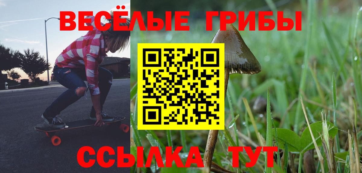 Галлюциногенные грибы прущие грибы  Вход с VPN  Клин 
